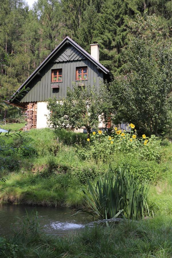 Privat No. 2 Holiday home Adrspach